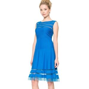 Tadashi Shoji Sleeveless Illusion Mesh Stripe Fit & Flare Jersey Dress Blue